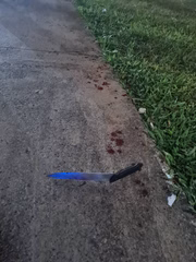 A polícia apreendeu a faca usada para atingir o repórter Gabriel Luiz, da TV Globo