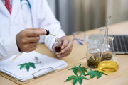 Além do canabidiol, na cannabis sativa é possível encontrar tetrahidrocanabidiol, substância com capacidade de gerar sensações de prazer, alívio, euforia, entre outras Além do canabidiol, na cannabis sativa é possível encontrar tetrahidrocanabidiol, substância com capacidade de gerar sensações de prazer, alívio, euforia, entre outras