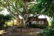 Montpelier Plantation & Beach