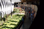 UnB é uma das maiores universidades do país