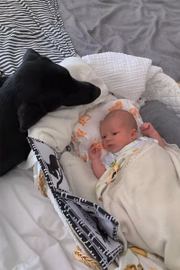 Archie com o pet da casa