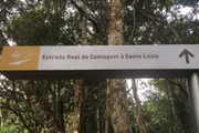 Parque Nacional de Brasília e a Flona passarão a ser administrados por entidades privadas