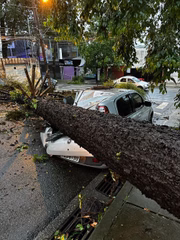Chuvas causam problemas em São Paulo