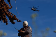 Além de socorristas do município e de todo o estado de Minas Gerais, o Rio de Janeiro e outros estados mandaram reforços. Tragédia mobilizou o país e entidades em todo o mundo, como OIT e OEA
