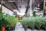 Mais de 80% dos produtos vêm de São Paulo