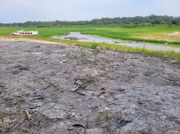 Essa região é banhada pelo encontro das águas dos rios Negro e Amazonas