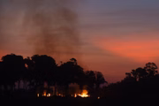 Dois anos após o Dia do Fogo, as queimadas na região voltaram a quebrar recordes anuais. Em 2020, a Amazônia Legal registrou o maior índice dos últimos nove anos (150.783 focos de fogo), um valor 20% maior que no ano anterior e 18% maior que nos últimos cinco anos