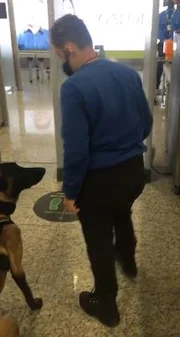 Arthur tem autismo, disforia sensível à rejeição e transtorno de processamento sensorial