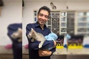 Pablo é suspeito de fazer ritual com gatos tigrados