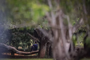 Homens esperam por parceiros na Floresta do Sussurro