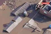 Animal ao ser colocado em bote e retirado de telhado