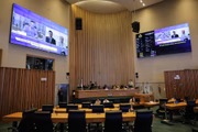 CPI na Câmara dos Deputados do Distrito Federal (CLDF)