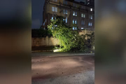 Árvore caída na frente da Santa Casa, no centro de São Paulo