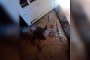 Valquiria foi encontrada dentro de casa, caída no chão, pelo próprio filho 