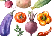 Estudos ainda indicam que o veganismo reduz o risco de doenças cardiovasculares 