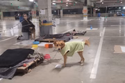 Outro cachorro também espera ser adotado