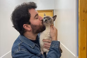 Ele decidiu criar um reality show animal