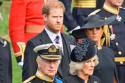 Harry, Meghan, rei Charles e Camila