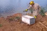 Bicho foi colocado em caixa e solto em reserva de Morrinhos