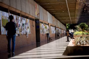 Plataforma foi desenvolvida há cerca de dois anos como ferramenta de estratégia de estudo para vestibular da UnB