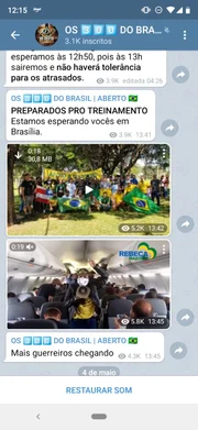 Grupo de Telegram dos chamados "300 do Brasil"