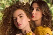 Agora, brigam por causa da música Trevo