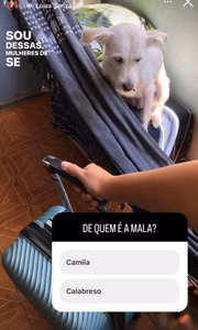 Nos stories, ela mostrou que arrumou a mala de Lucas Buda