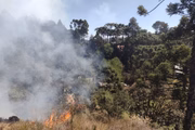 80% dos focos de incêndio em SP ocorreram em áreas de uso agropecuário
