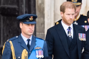 Os irmãos William e Harry 