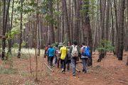 Floresta Nacional de Brasília