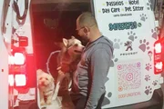 Investigado por maus-tratos e zoofilia, o estabelecimento Dogfun fica no Capão Redondo