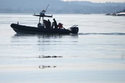 Equipes de resgate no rio Potomac, em Washington, após colisão entre avião e helicóptero