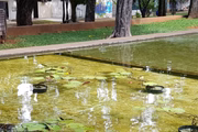 Com os filtros, a água era límpida