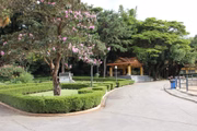 Parque da Água Branca, em São Paulo