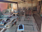 Segundo Romu, local servida de preparatório para rinhas