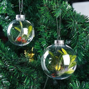 Combinam com diversas decorações