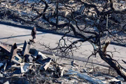 Cidade destruída na ilha Maui, no Havaí