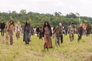 A última temporada de The Walking Dead também é uma das exclusividades do streaming