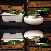 Ozumi