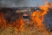 Bombeiros e brigadistas do Brasília Ambiental controlaram o fogo no Cerrado