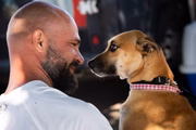 Segundo voluntários, todos os pets já haviam sido adotados antes de embarcarem a Brasília e, inclusive, com todas as vacinas em dia