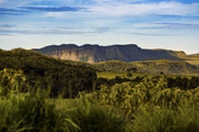 Ele é um dos cinturões de cerrado nativo, no Brasil, e atrai turistas do mundo todo