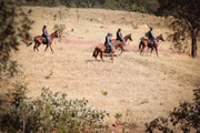 Cavalaria da PMGO realiza buscas próximo à área em que ocorreu troca de tiros com Lázaro 
