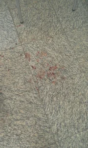 Agressão deixou marcas na loja