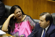 A relatora do decreto na Câmara, Laura Carneiro (MDB-RJ), teve de lutar contra o sono