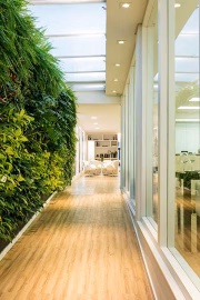 A parede verde, bastante em alta na decoração, e o vidro formam um estilo moderno 