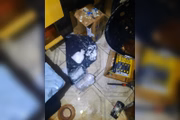 em uma casa localizada em Samambaia