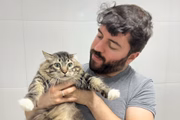 E deu o nome de Casa do Vira-Lata 