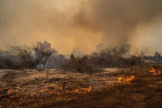 Onda de calor no interior de São Paulo pode provocar novas queimadas