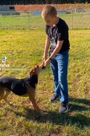 O nome é Project Freedom Ride 